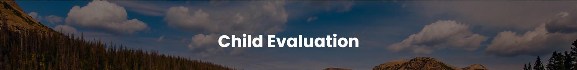 Child Evaluation